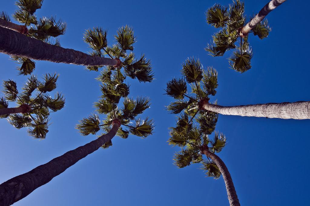 The In Catalina Island 3*